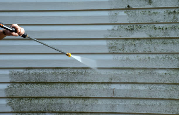 Best Roof Pressure Washing  in Phoenixville, PA